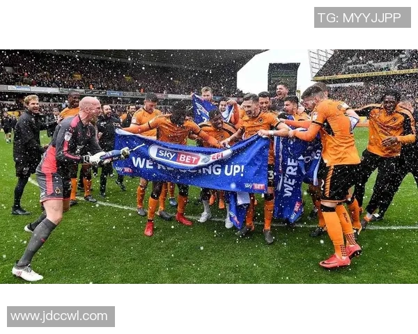 博尔顿对阵狼队精彩在线直播全程回顾与赛后分析